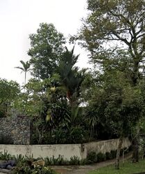 Tanglin Road (D10), Detached #556201801